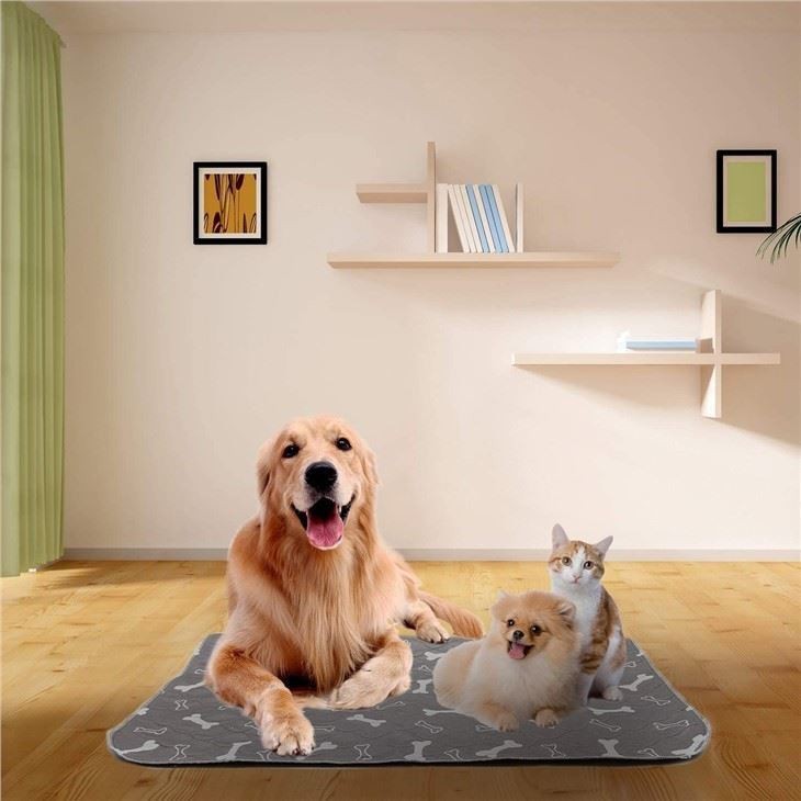 washable-pee-pads-for-dogs43042250460